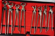 Load image into Gallery viewer, 9 items Heavy Duty Professional Horse Care Farrier Hoof Clincher Tool Kit